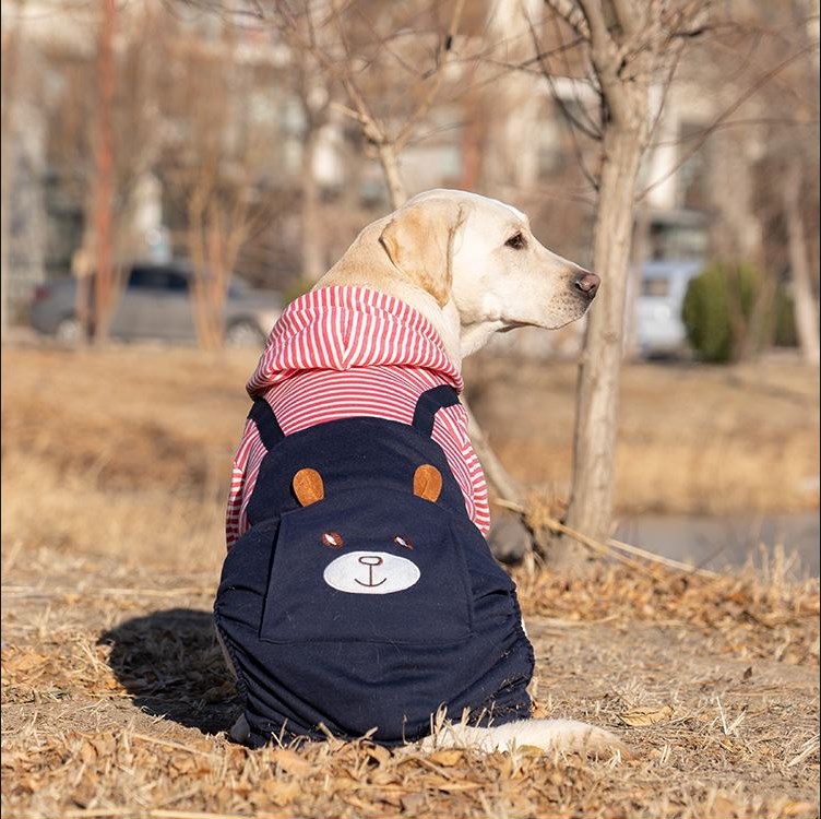 Striped Hooded Dog Dungarees Outfit