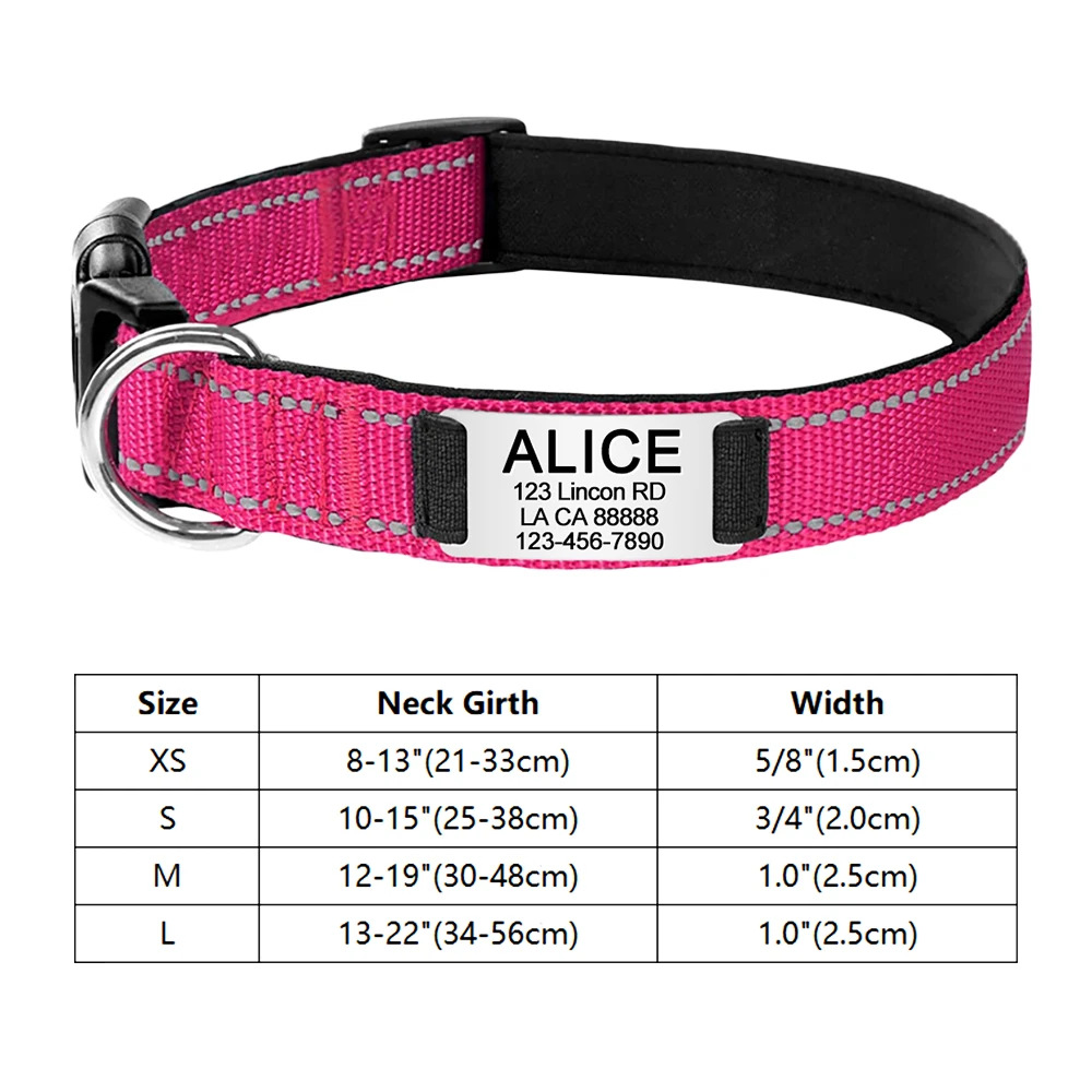 Personalised Reflective Dog Collar with Engraved ID Plate