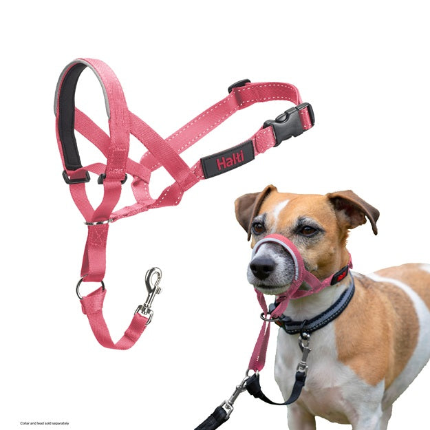 Halti Head Collar