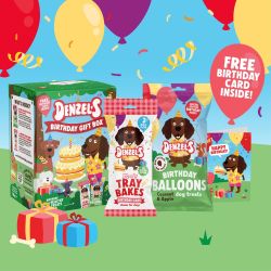 Denzel's Birthday Gift Box for Dogs