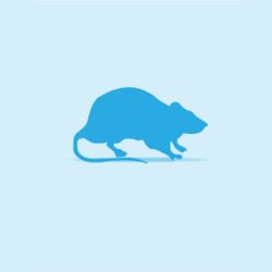 Monkfield Rat Weaner