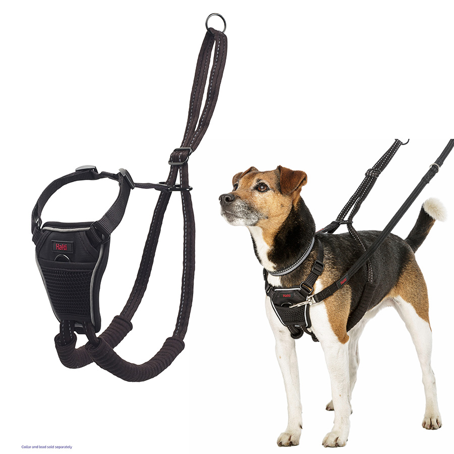 Company of Animals Halti No Pull Harness