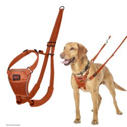 Company of Animals Halti No Pull Harness Orange