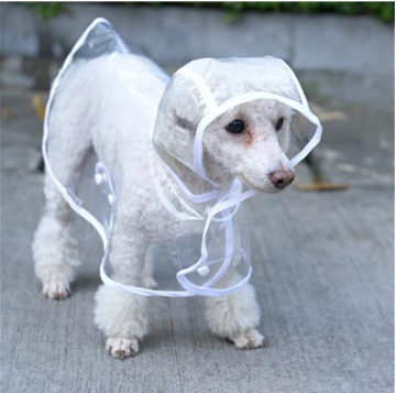 Transparent Waterproof PVC Dog Raincoat with Hood, XS to 2XL
