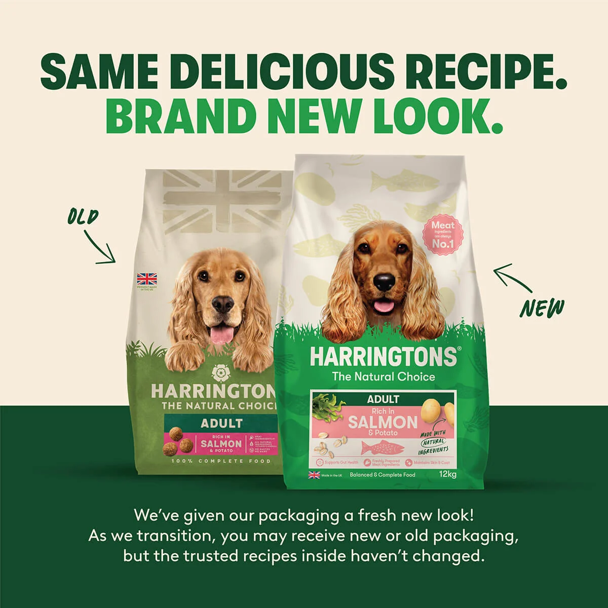 Harringtons Adult Dog Salmon & Potato