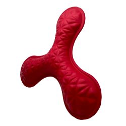Aquadog Dog Tri Throw