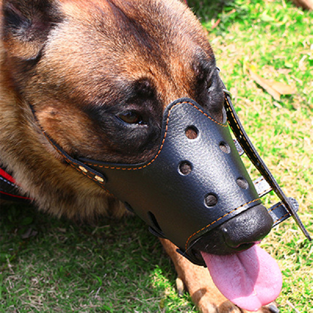 Adjustable Leather Dog Muzzle