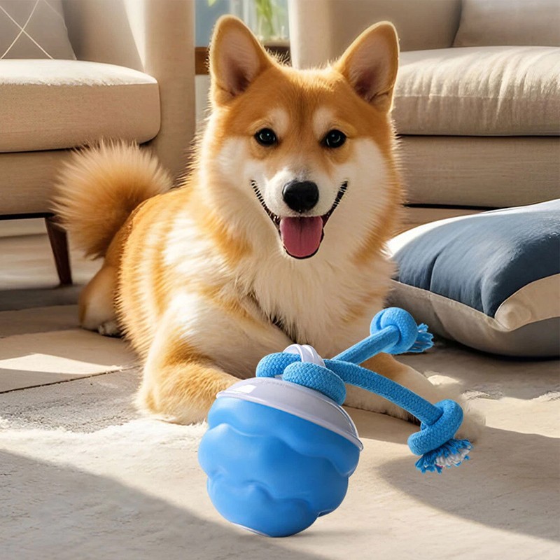 Chase Buddy Boredom-Busting Dog Toy