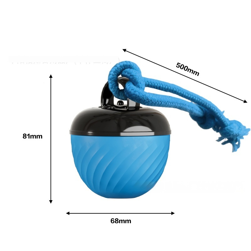 Interactive Dog Chew Ball on Braided Rope