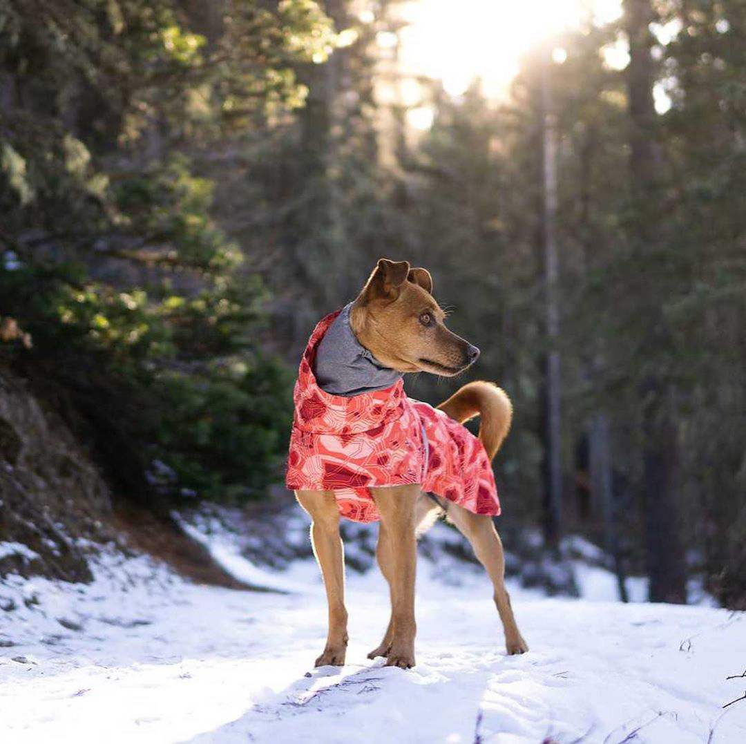 Outdoor Warm Winter Dog Coat