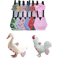Poultry Nappy Harness for Chickens, Ducks & Geese