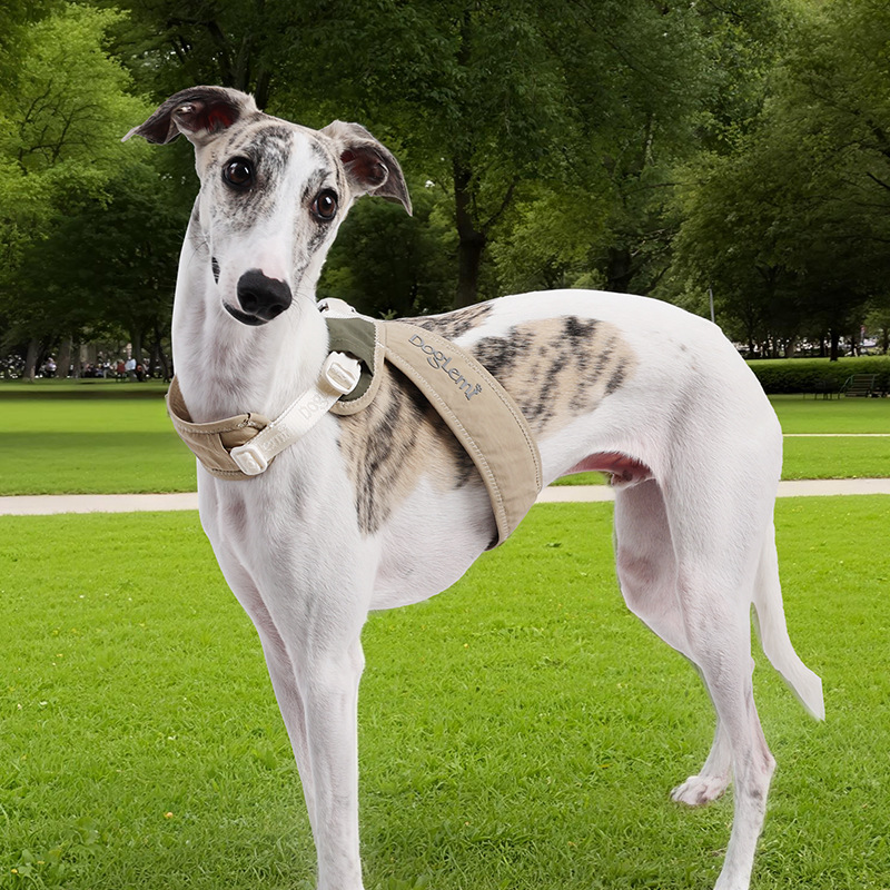 Padded Vest-Style Dog Harness