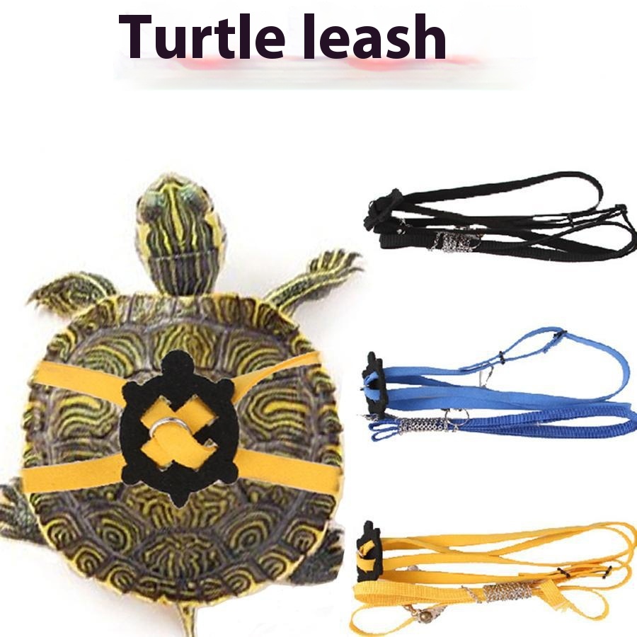 Adjustable Tortoise Harness and Lead