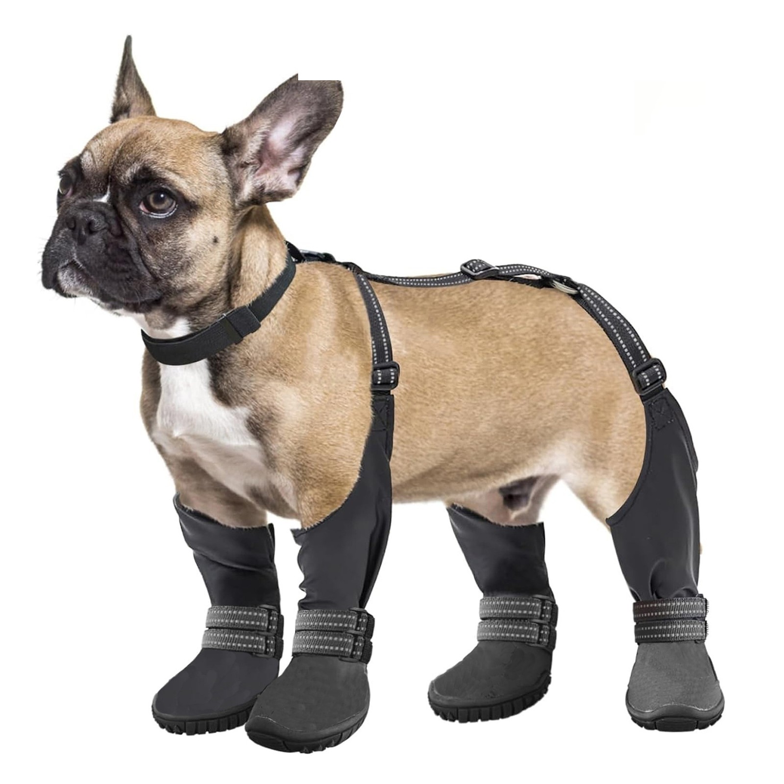 Waterproof Dog Boots with Suspender Straps