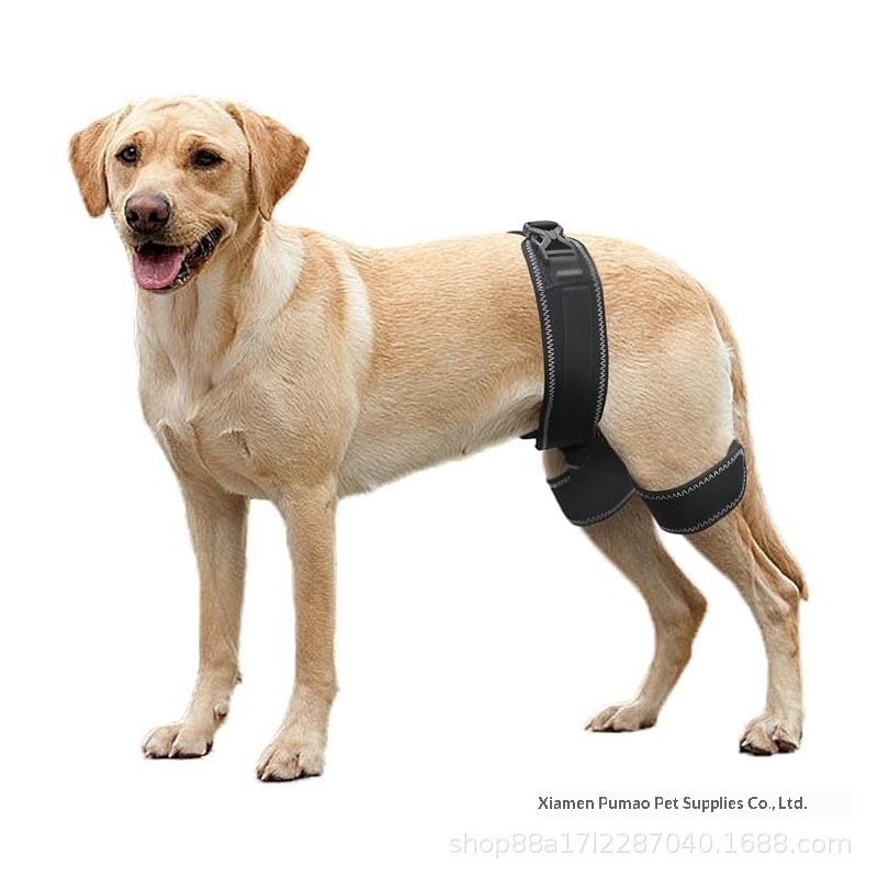 Dog Hip & Hind-Leg Support Brace