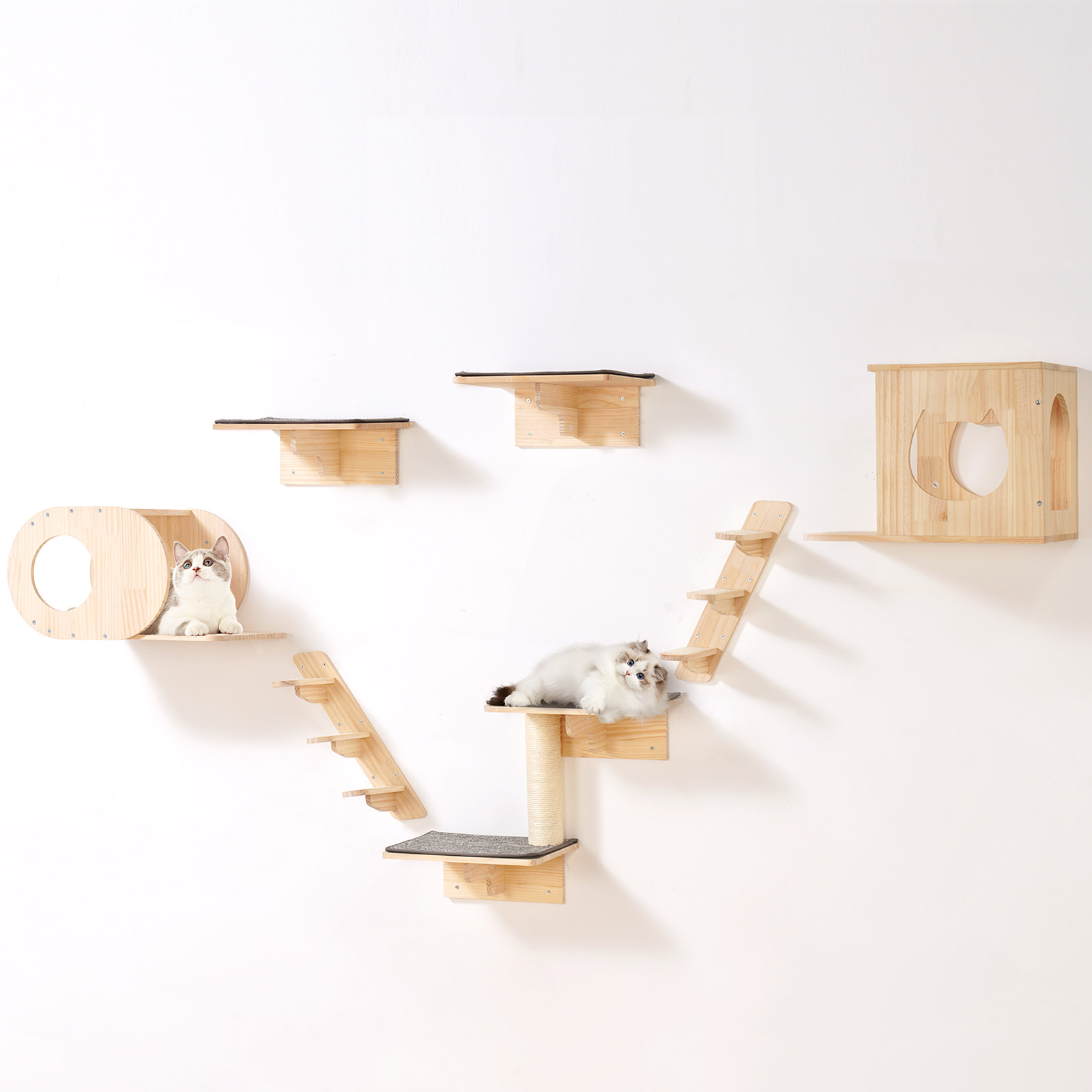 Wall-Mounted Cat Shelves & Climbing Set