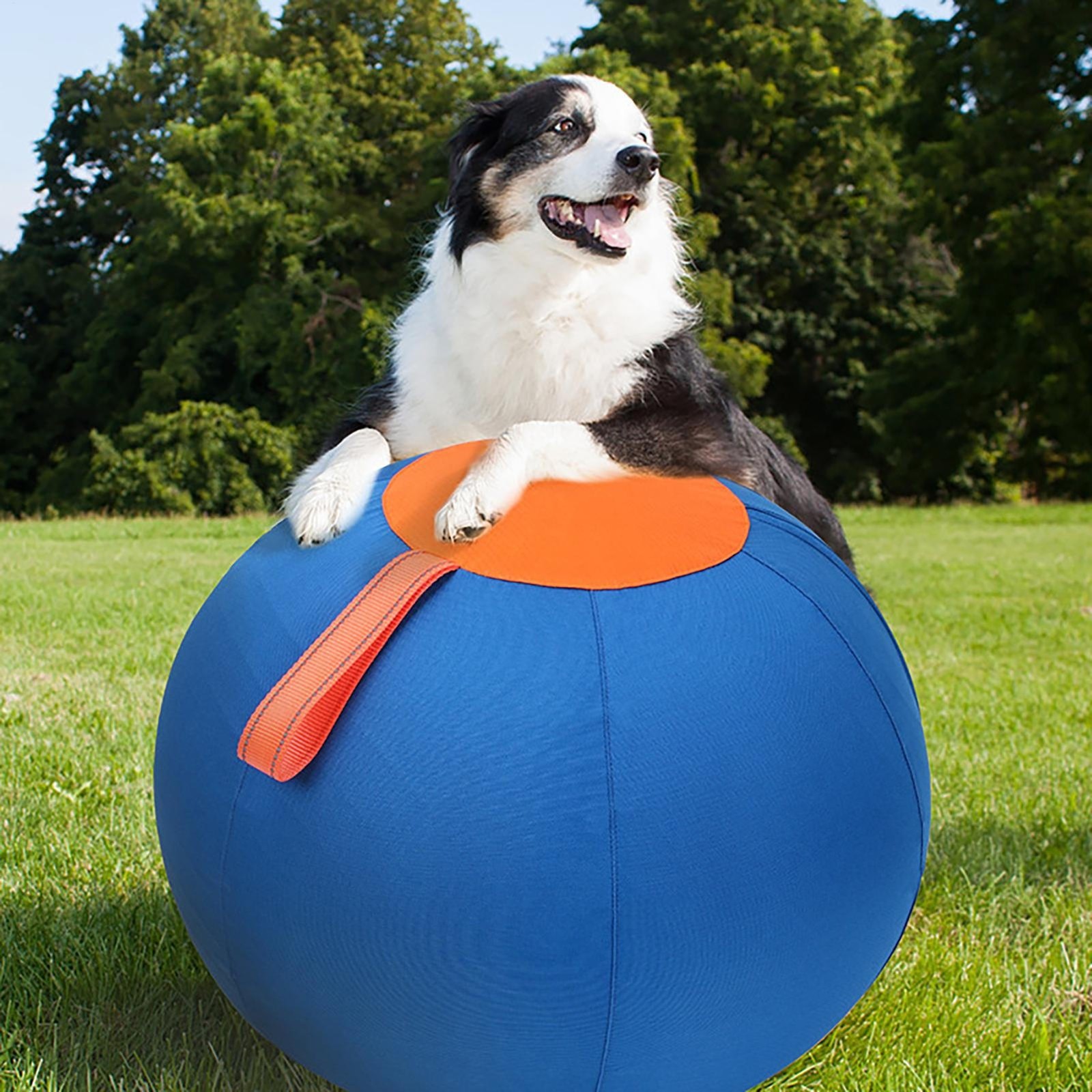 Herding Ball for Dogs — 45cm Tough Oxford Cover