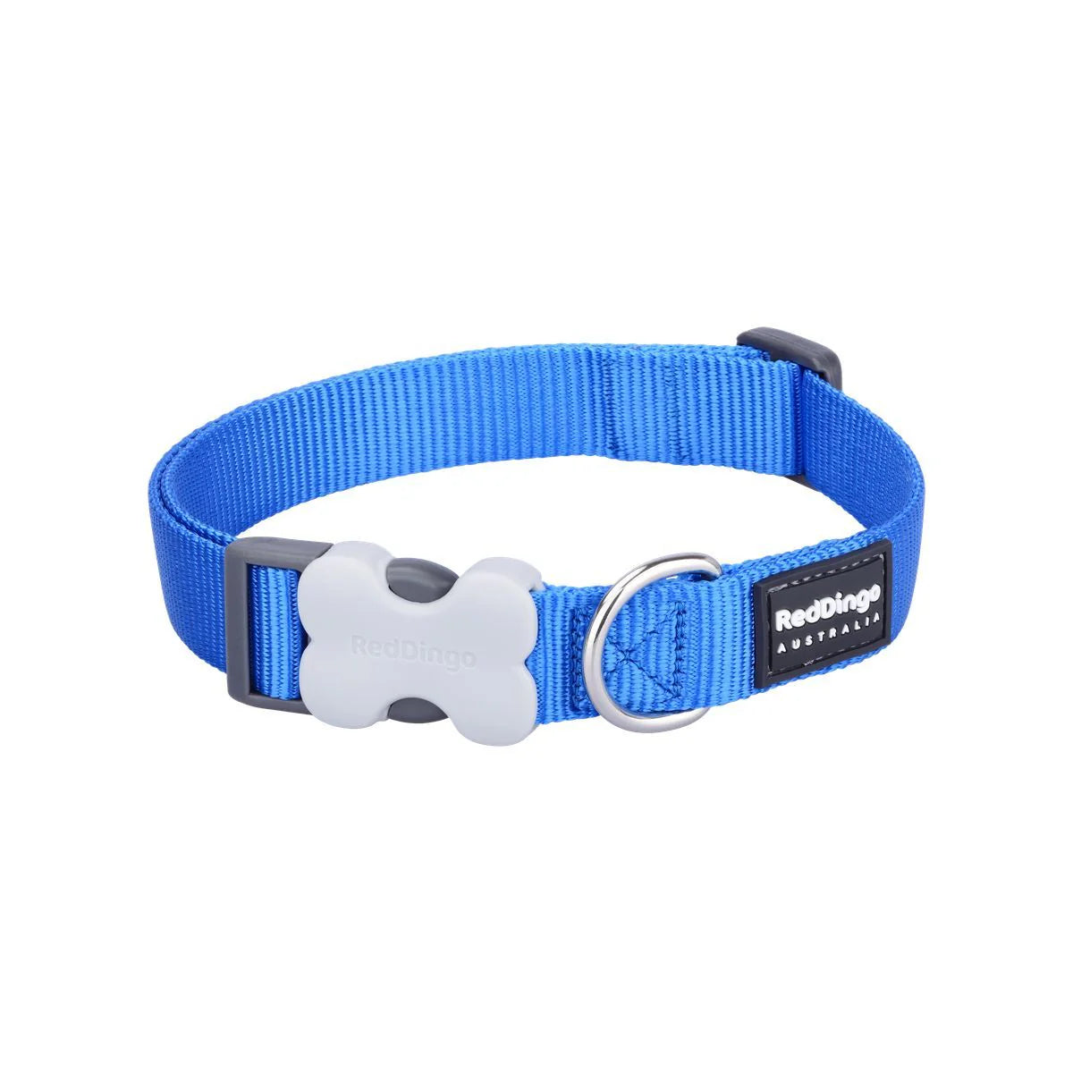Dog Collar Classic Electric Blue