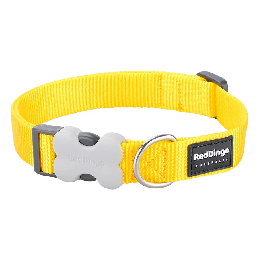Dog Collar Classic Yellow