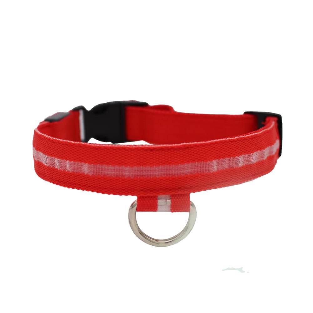 Rechargeable LED Safety Dog Collar