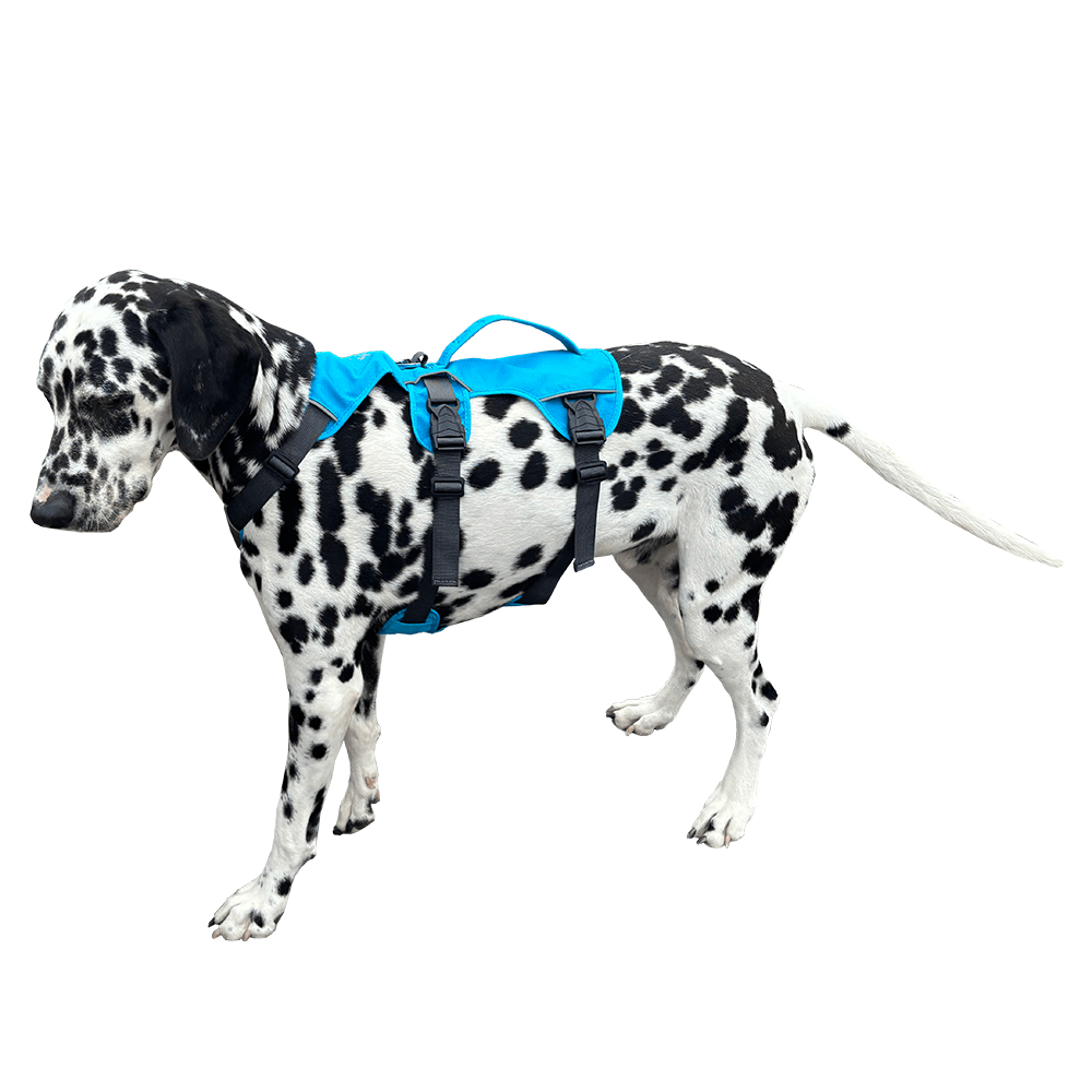 Mobility Assist Lifting Harness for Dogs