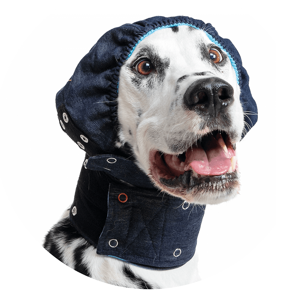 MPS Head Cover — Breathable Dog Head & Ear Protector