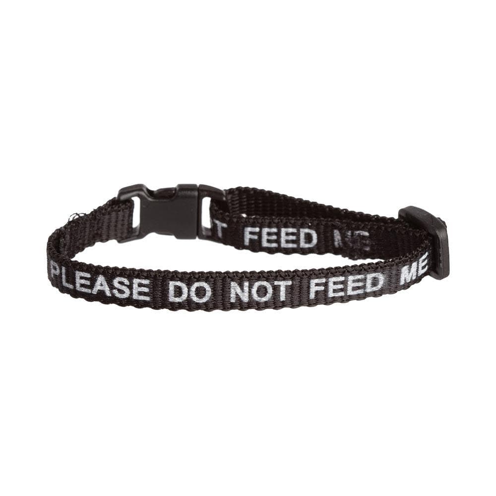 'Please Do Not Feed Me' Cat Collar