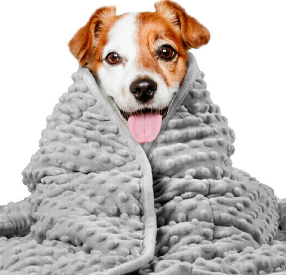 Washable Calming Anxiety Dog Blanket