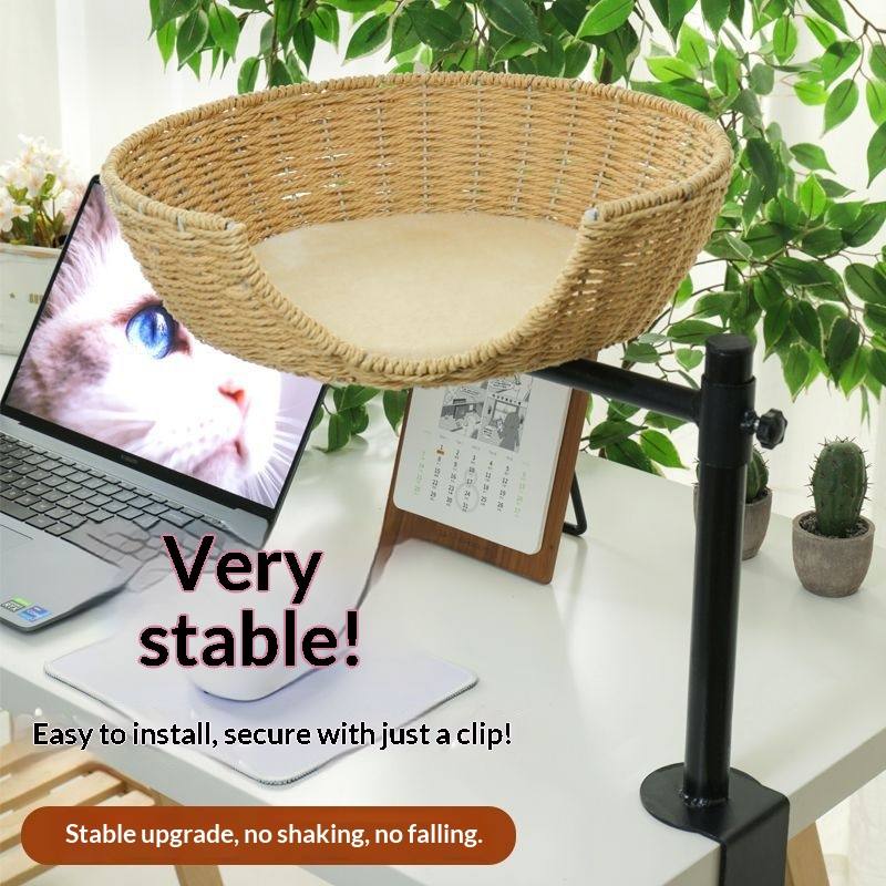 Cat Climbing Tree With Bed