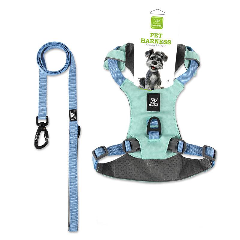No-Pull Dog Lead Set