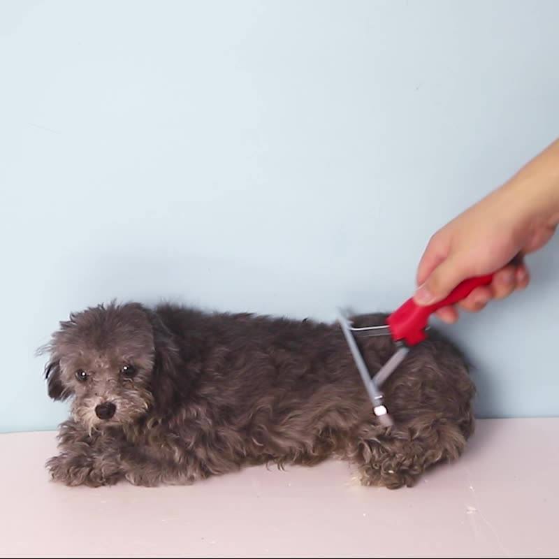 Large Rake Deshedding Grooming Comb