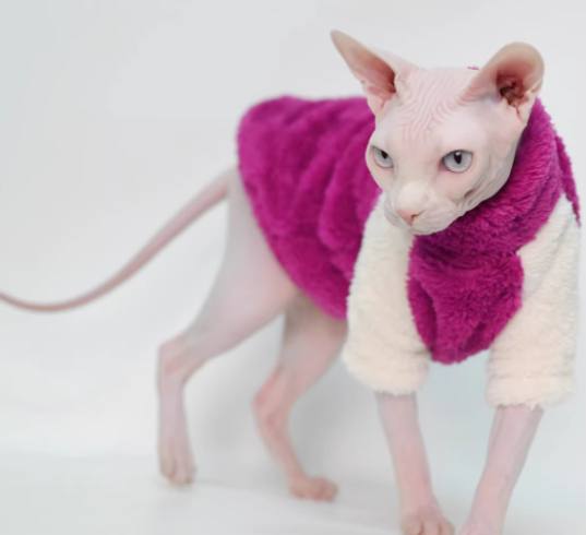 Plush Warm Cat Coat
