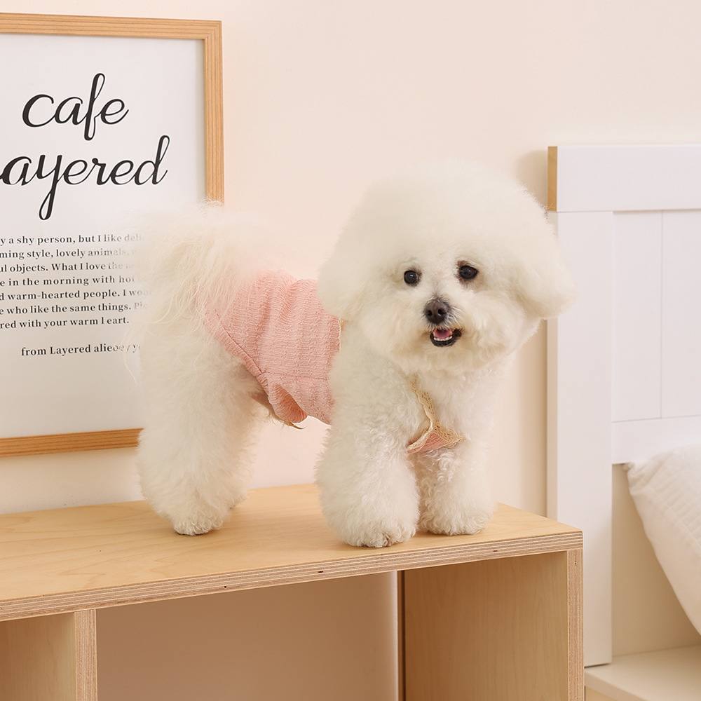 Soft Puppy & Dog Clothing