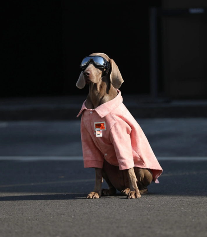 Dog Shirt – Soft Cotton Tee