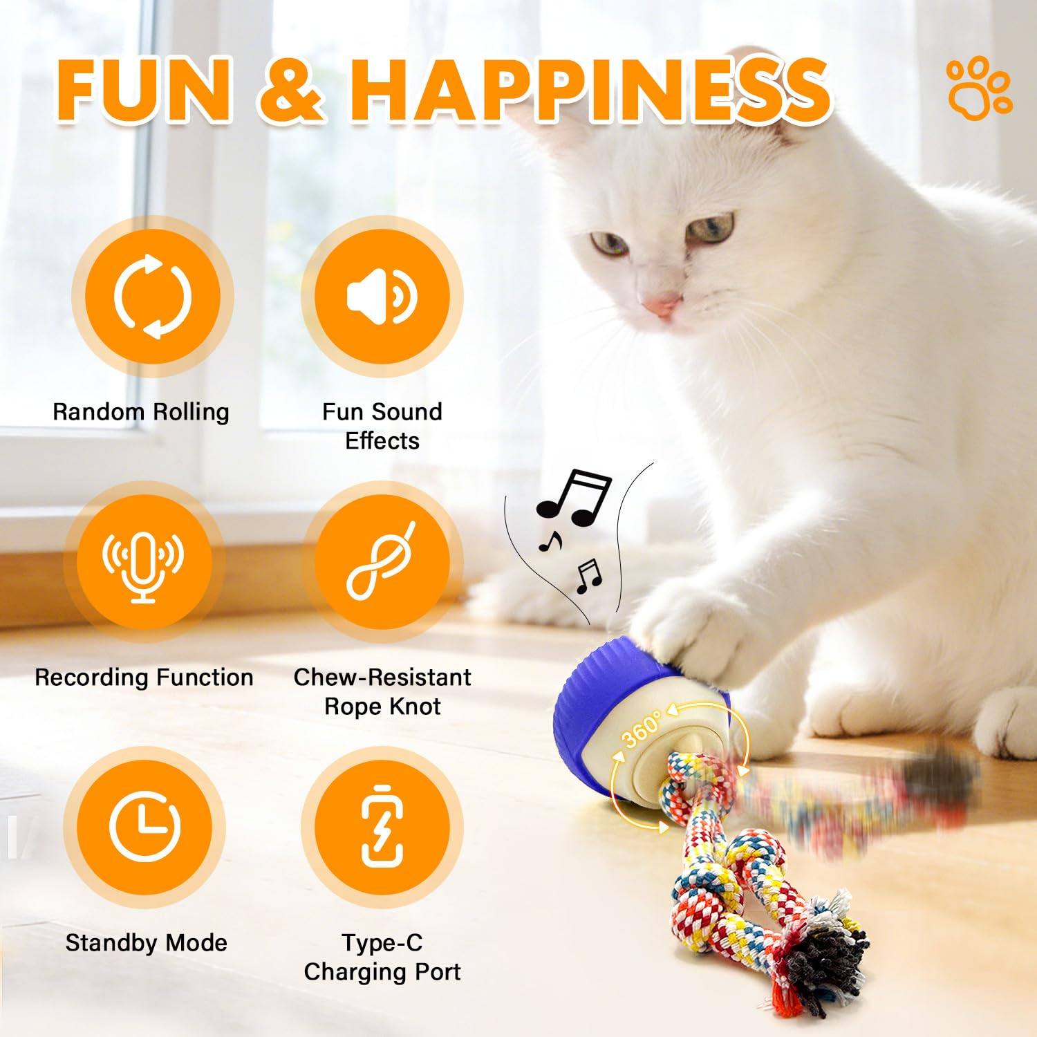 Interactive Cat Toy