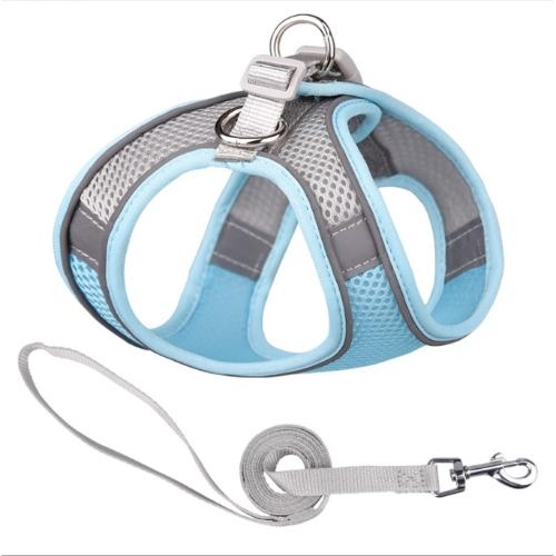 Dog Walking Lead Rope