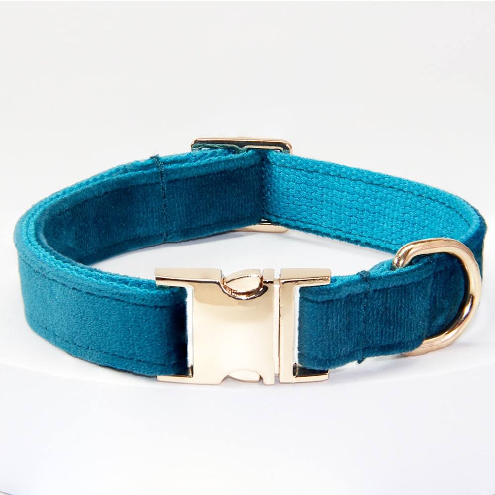 Personalised Engraved Dog Collar