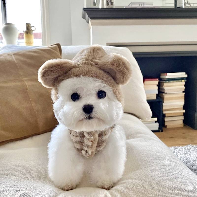 Small Dog Winter Coat