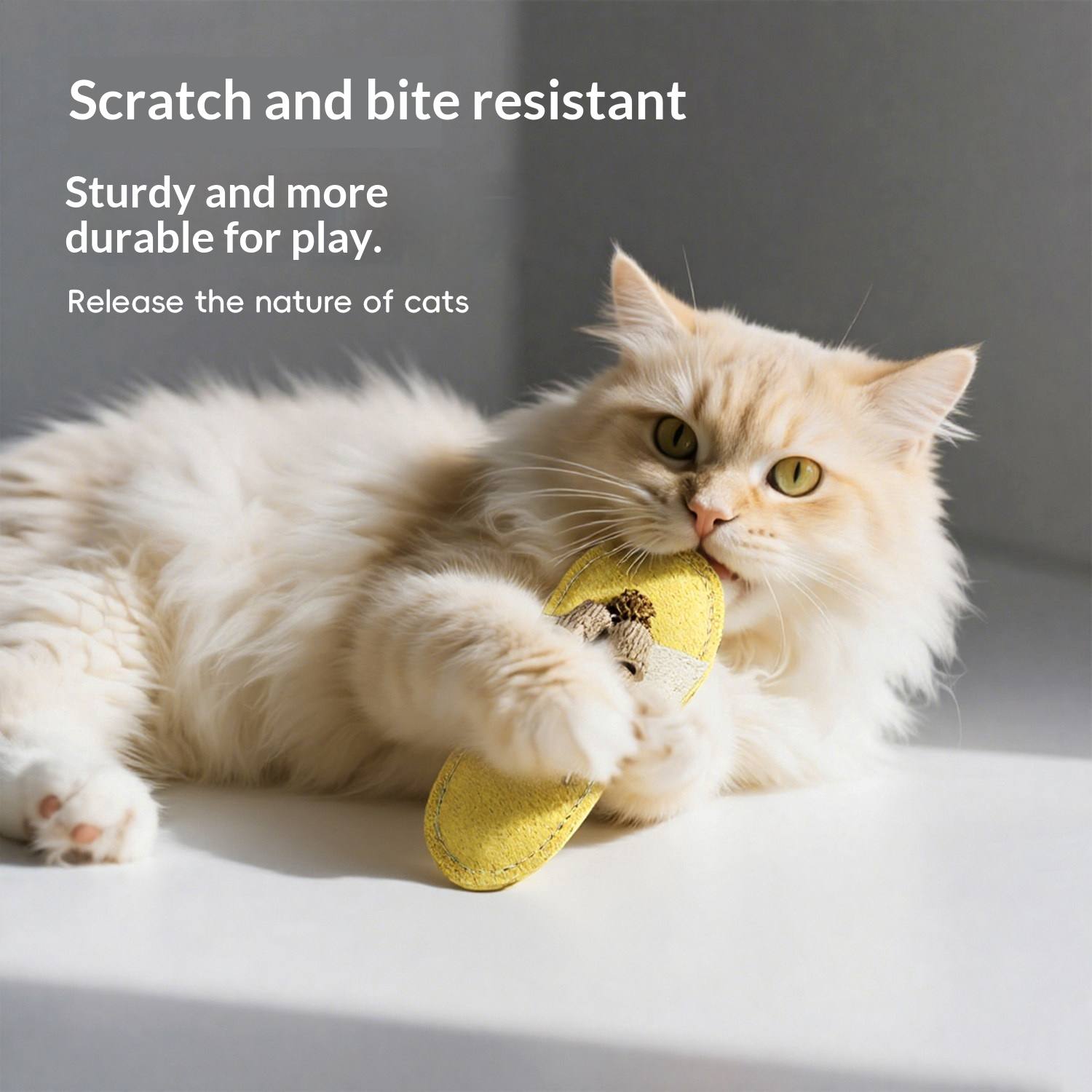 Loofah Cat Boredom Buster Toy