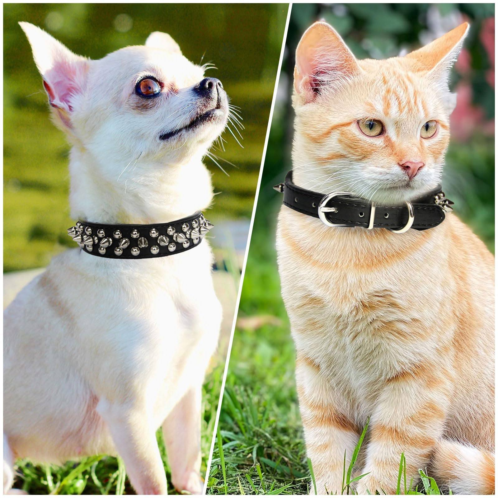 Studded Padded Leather Dog Collar