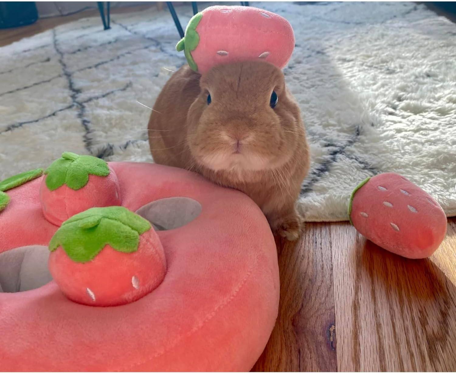 Plush Strawberry Snuffle Mat