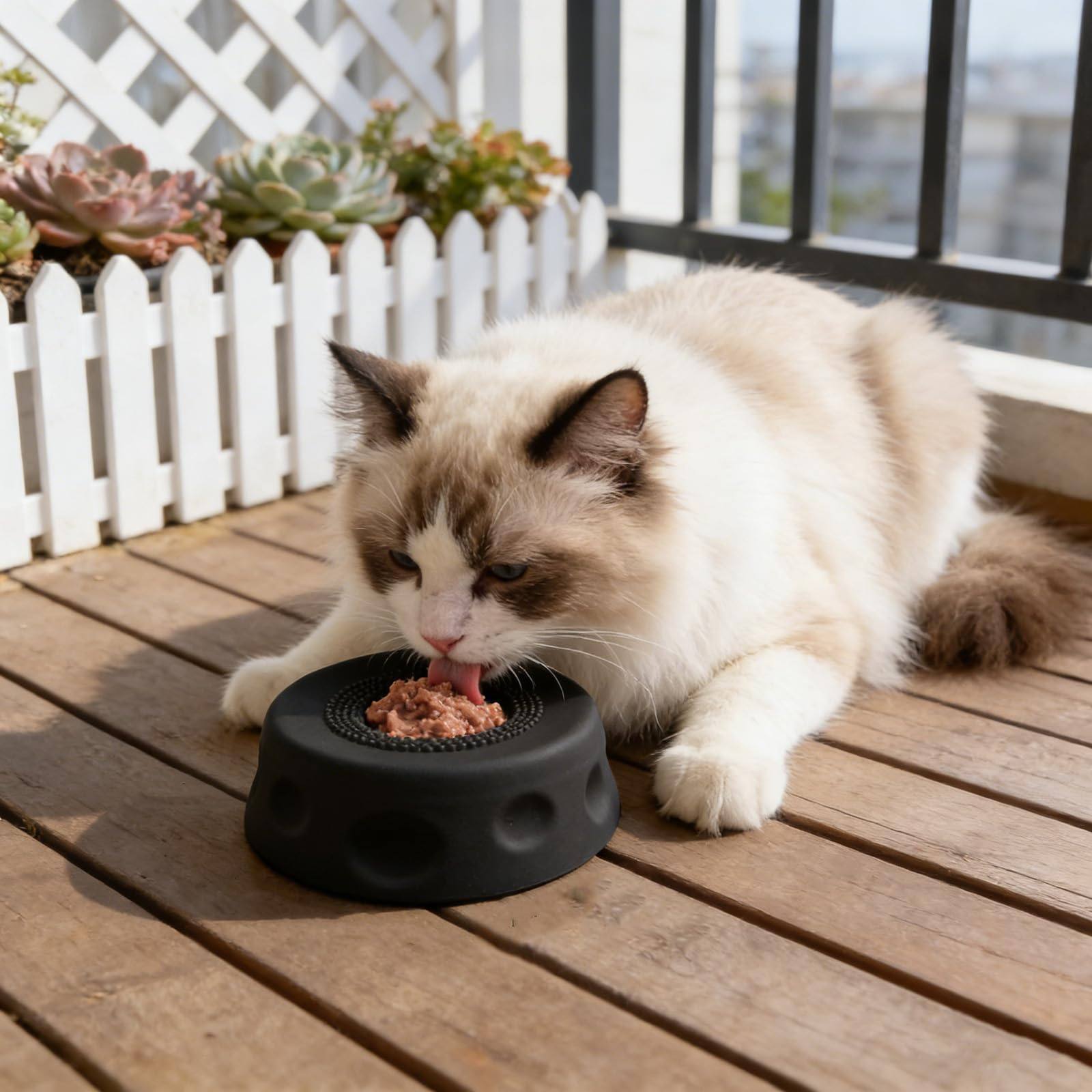 Slow Feeder Dog Bowl With Ball