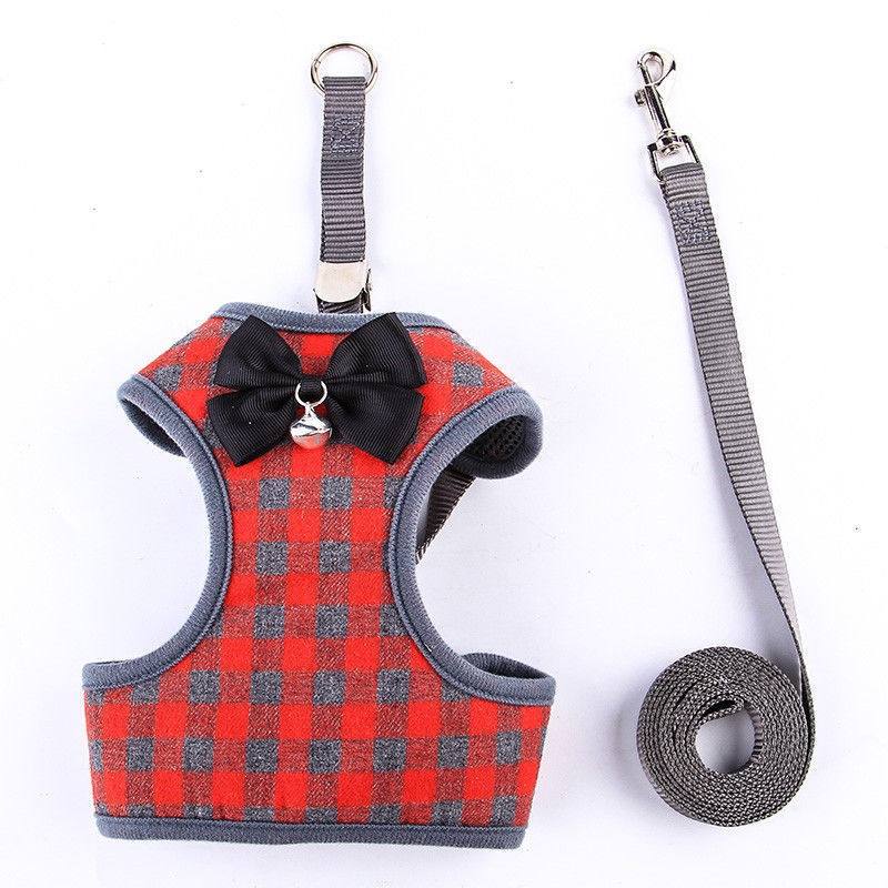 Vest Harness & Lead Walking Set