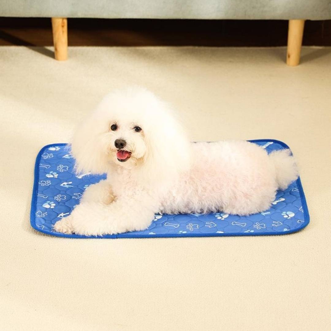 Washable Reusable Dog Training Pad