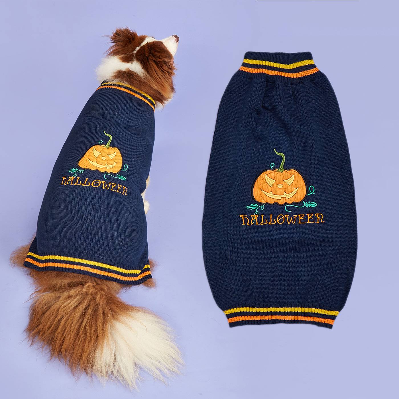 Blue Halloween Pumpkin Dog Jumper