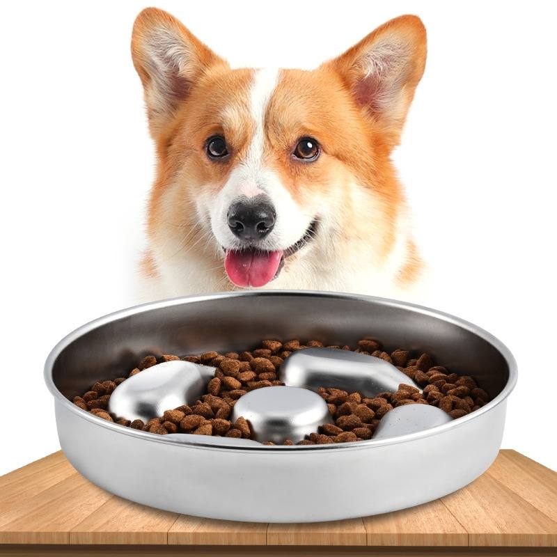 Stainless Steel Slow Feeder Dog Bowl