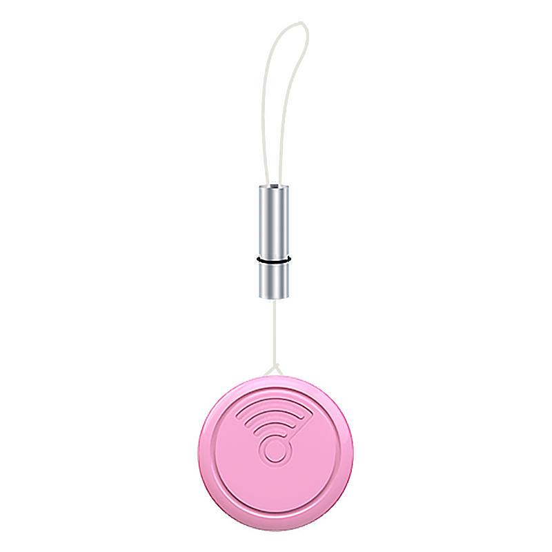 AirTag Anti-Lost Pet Collar Holder