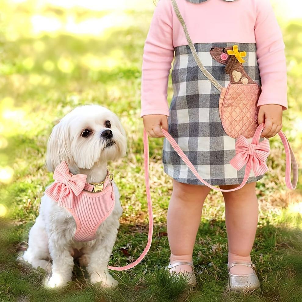 Bow Tie Dog Harness And Lead Set