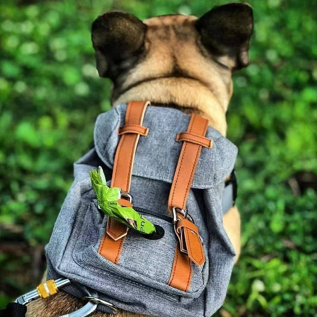 Retro Streetwear Dog Carrier Backpack