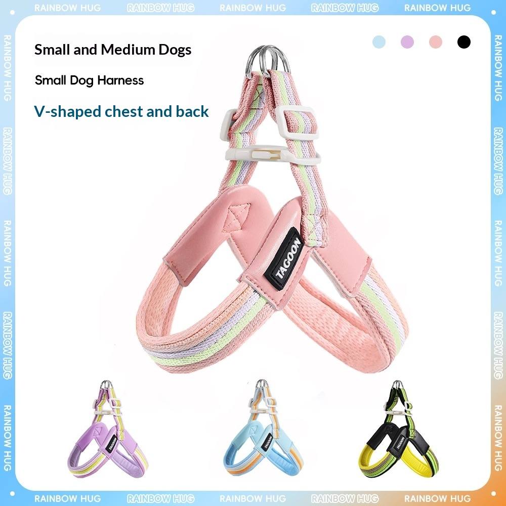 Rainbow Breathable Dog Harness And Lead Set